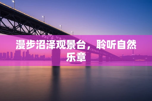 漫步沼泽观景台，聆听自然乐章
