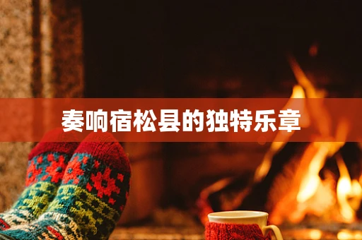 奏响宿松县的独特乐章