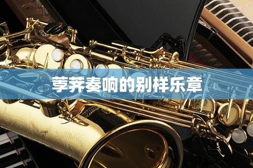 荸荠奏响的别样乐章