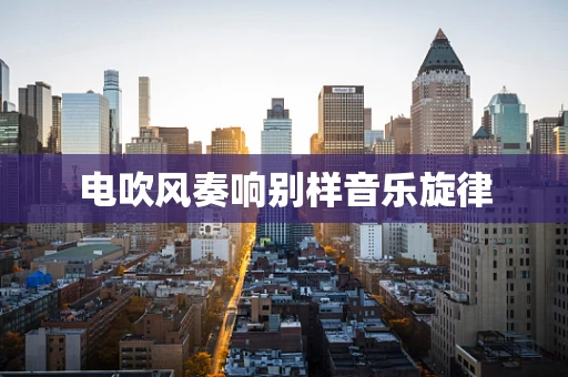 电吹风奏响别样音乐旋律