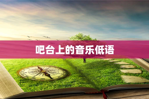 吧台上的音乐低语