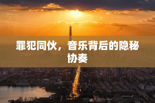 罪犯同伙，音乐背后的隐秘协奏