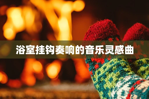 浴室挂钩奏响的音乐灵感曲
