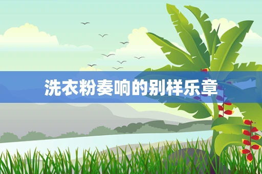 洗衣粉奏响的别样乐章