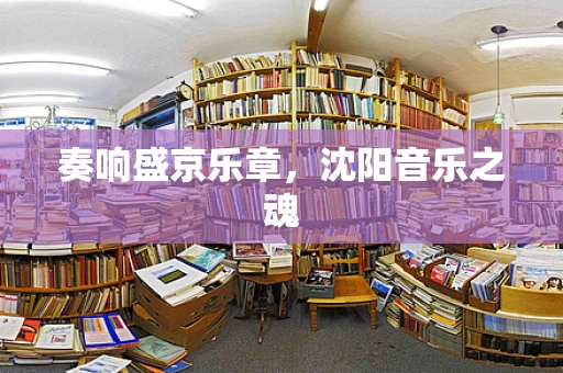 奏响盛京乐章，沈阳音乐之魂