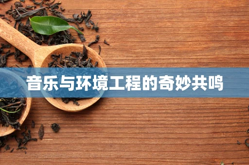 音乐与环境工程的奇妙共鸣