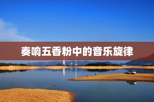 奏响五香粉中的音乐旋律