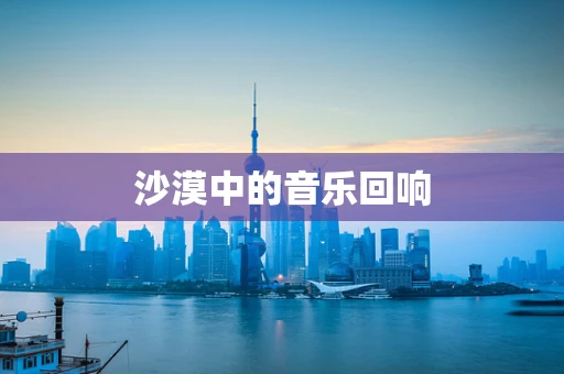 沙漠中的音乐回响
