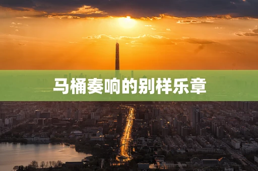 马桶奏响的别样乐章