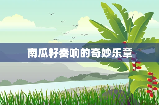 南瓜籽奏响的奇妙乐章