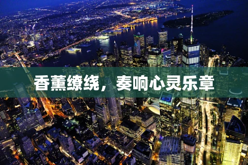 香薰缭绕，奏响心灵乐章