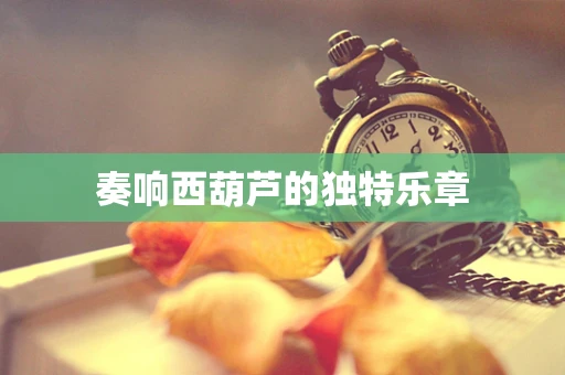 奏响西葫芦的独特乐章
