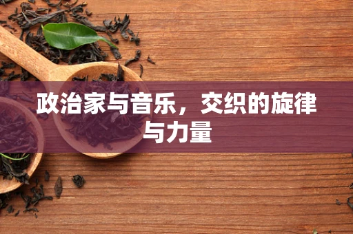 政治家与音乐，交织的旋律与力量