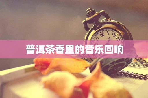 普洱茶香里的音乐回响