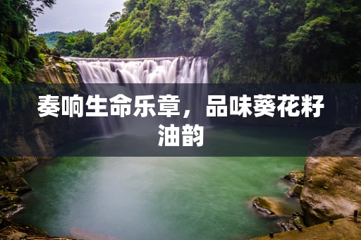 奏响生命乐章，品味葵花籽油韵