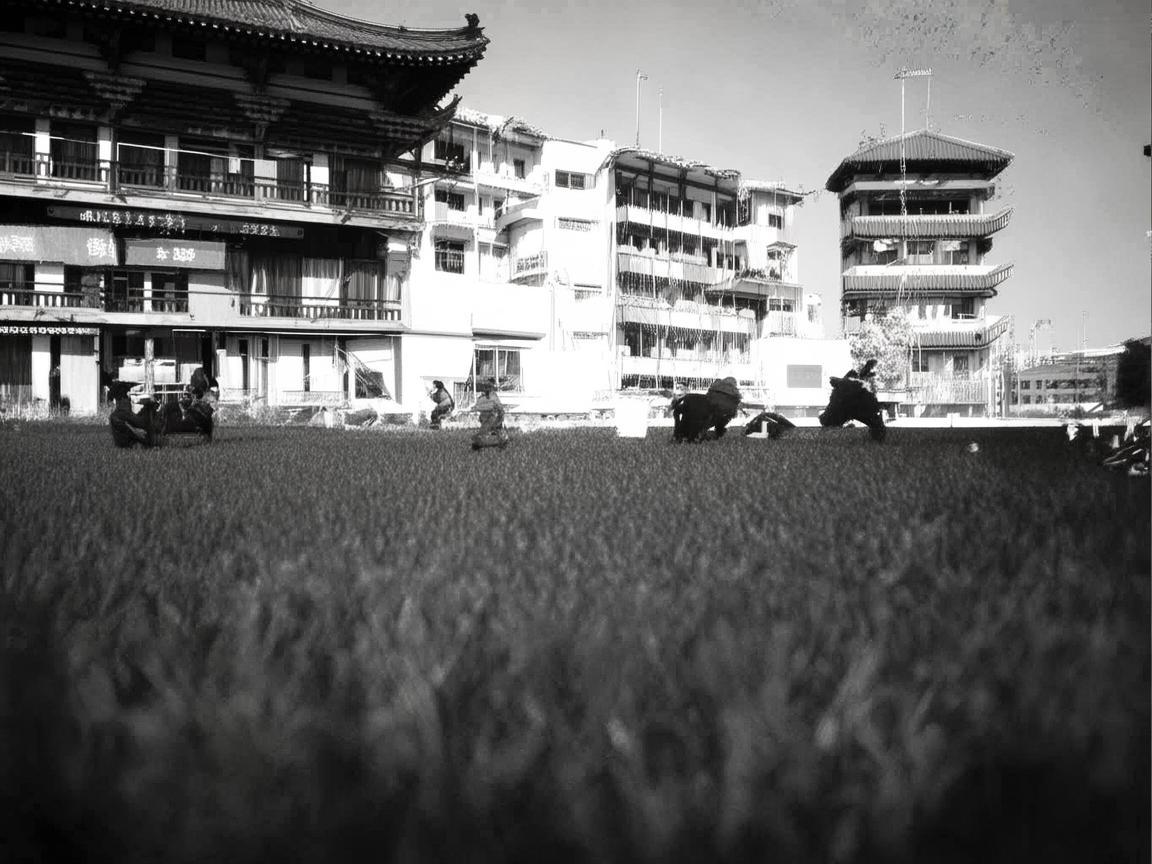 聊城，奏响多元音乐华章