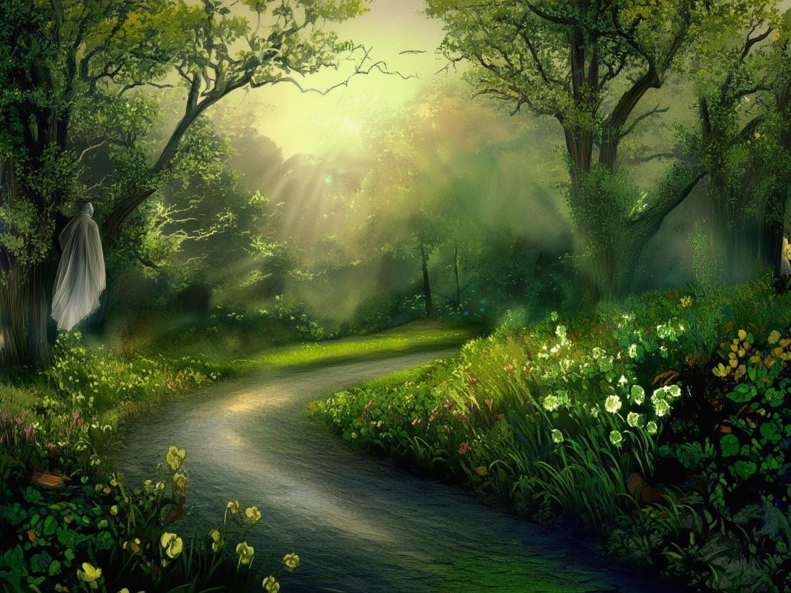 音乐之路，监护人的守护之光