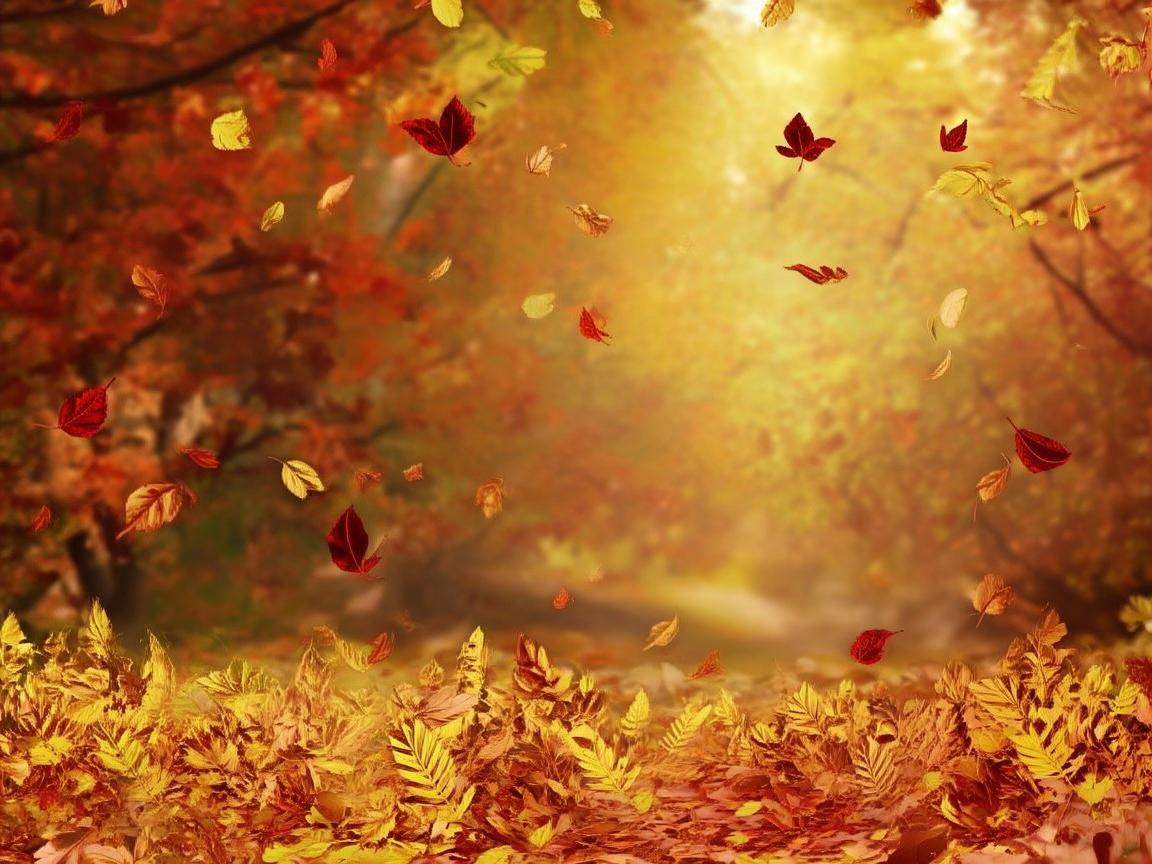 奏响秋季的旋律华章